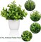Small Fake Plants Artificial Plastic Plants in Pot Eucalyptus Plant Wheat Grass Shrub Plant Indoor Desk Coffee Table Bathroom Bedroom Home Decoration